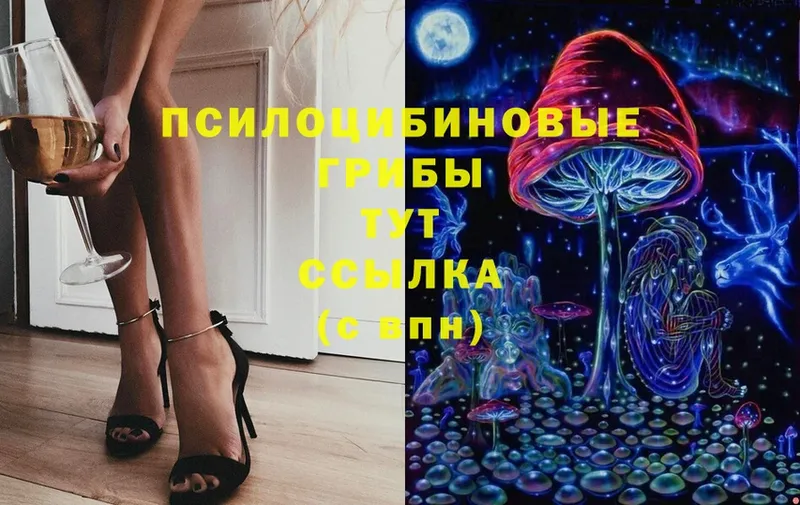 Псилоцибиновые грибы Magic Shrooms Павловский Посад